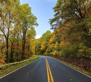 Fall Road Background Image