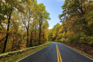 Fall Road Background Image